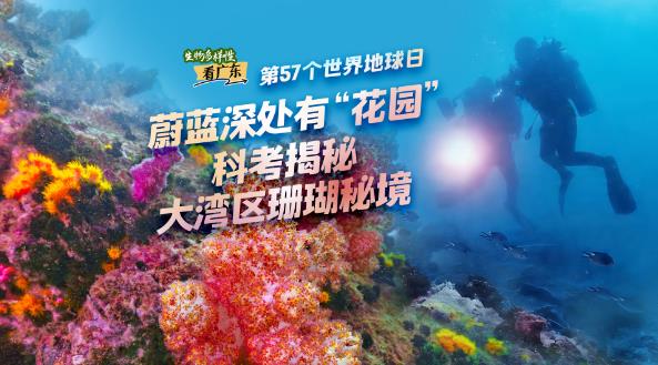 360截图20260421205605910 360截图20260421205605910